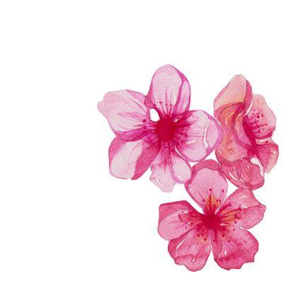 Whispers of Dawn Pastel Posy